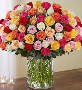 Premium roses