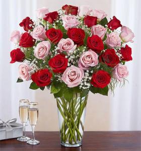 Red and pink love 36