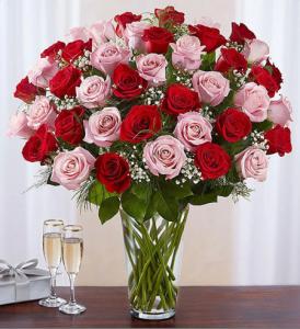 Red and pink love 48