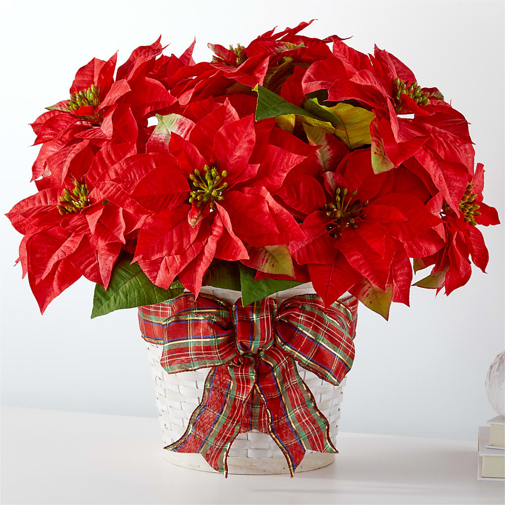 Happiest Holidays Poinsettia – F & S FLOWERS DESIGN LLC, Margate FL