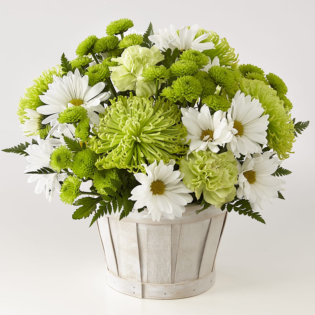 Lucky Charm Basket (Standard) – F & S FLOWERS DESIGN LLC, Margate FL
