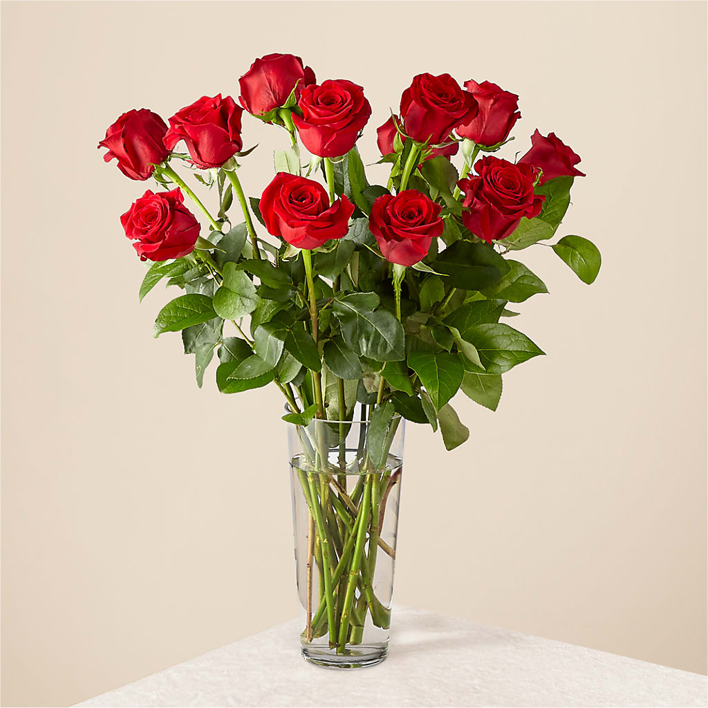 Long Stem Red Rose Bouquet – F & S FLOWERS DESIGN LLC, Margate FL