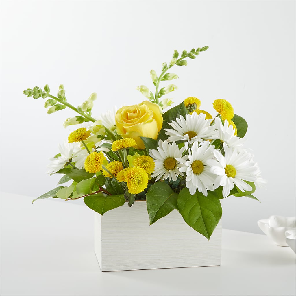 Sun Salutation Box Bouquet – F & S FLOWERS DESIGN LLC, Margate FL