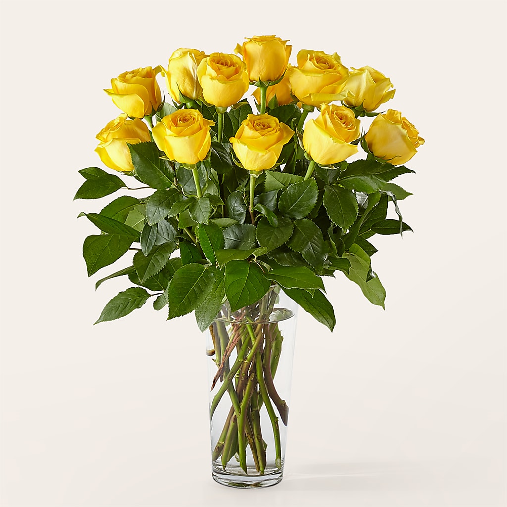 Long Stem Yellow Rose Bouquet – F & S FLOWERS DESIGN LLC, Margate FL