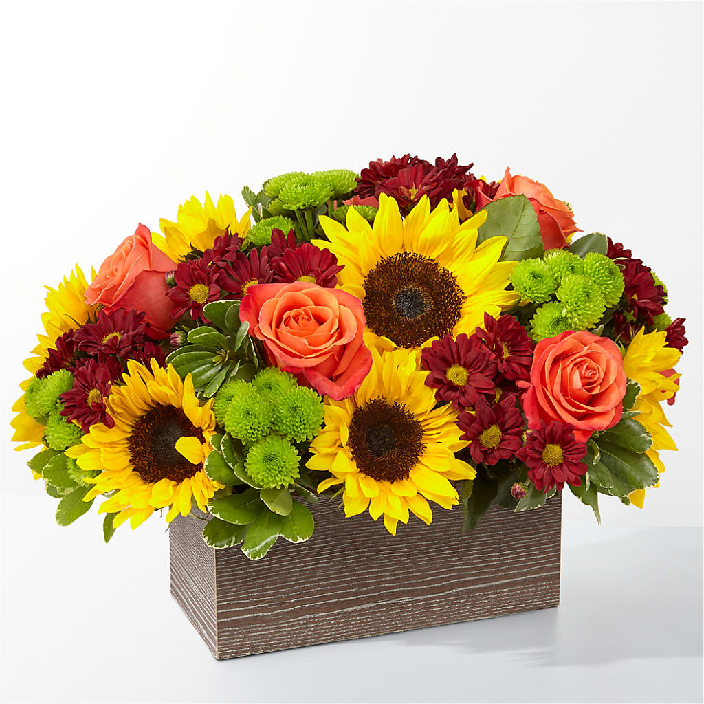 Happy Harvest Garden – F & S FLOWERS DESIGN LLC, Margate FL