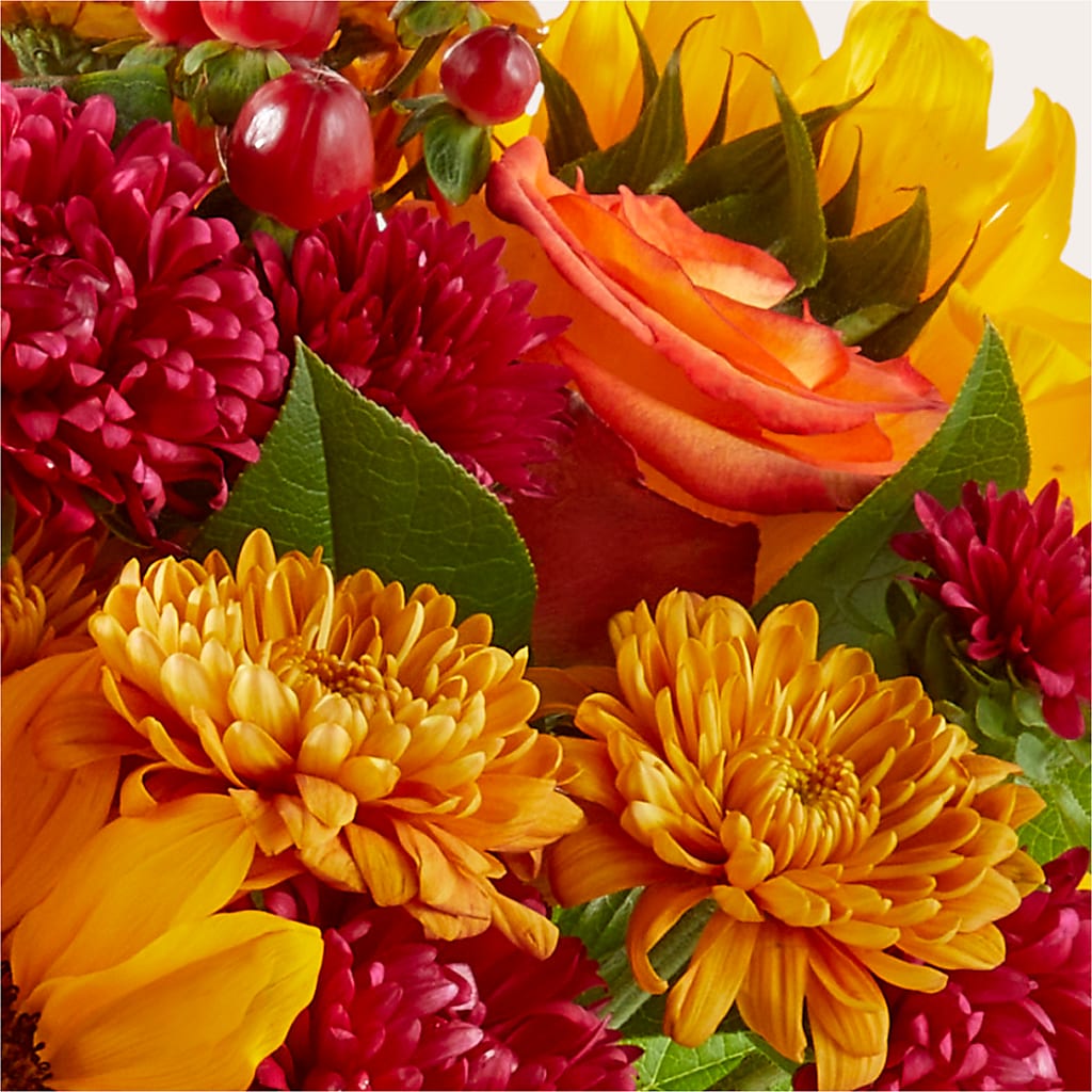 Sweater Season - A Florist Original – F & S FLOWERS DESIGN LLC, Margate FL