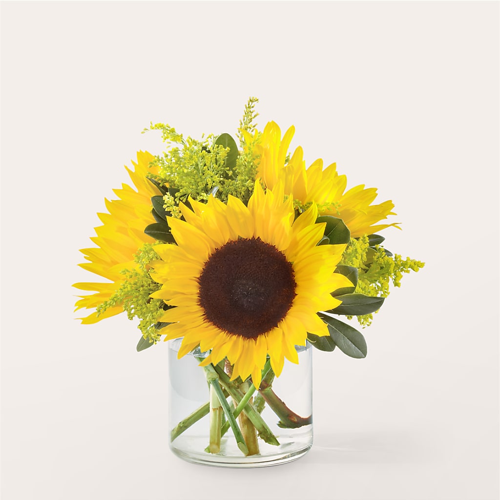 Beaming Sunflower Bouquet – F & S FLOWERS DESIGN LLC, Margate FL