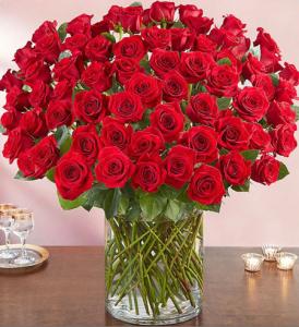 Premium red roses