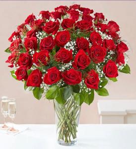 Loved red roses 48 – F & S FLOWERS DESIGN LLC, Margate FL