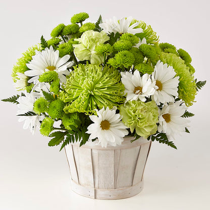 Lucky Charm Basket (Standard) – F & S FLOWERS DESIGN LLC, Margate FL
