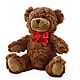 Adorable Plush Bear – F & S FLOWERS DESIGN LLC, Margate FL