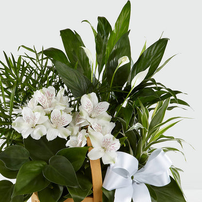 Peace & Serenity Dishgarden – F & S FLOWERS DESIGN LLC, Margate FL