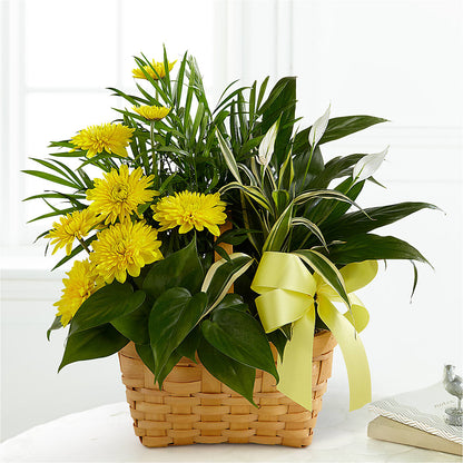 Loving Light Dishgarden – F & S FLOWERS DESIGN LLC, Margate FL
