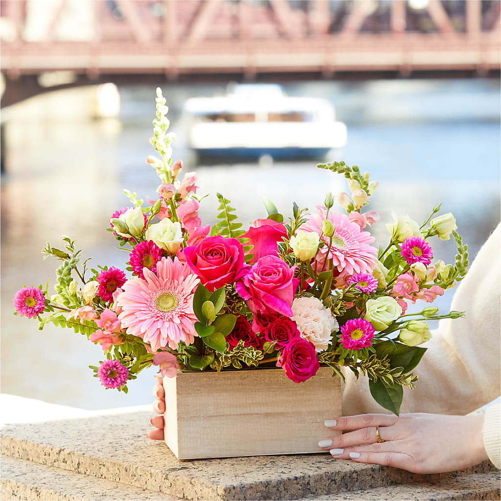 Too Cute Bouquet – F & S FLOWERS DESIGN LLC, Margate FL
