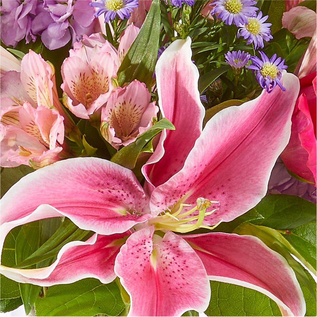 Written in the Stars Bouquet – F & S FLOWERS DESIGN LLC, Margate FL