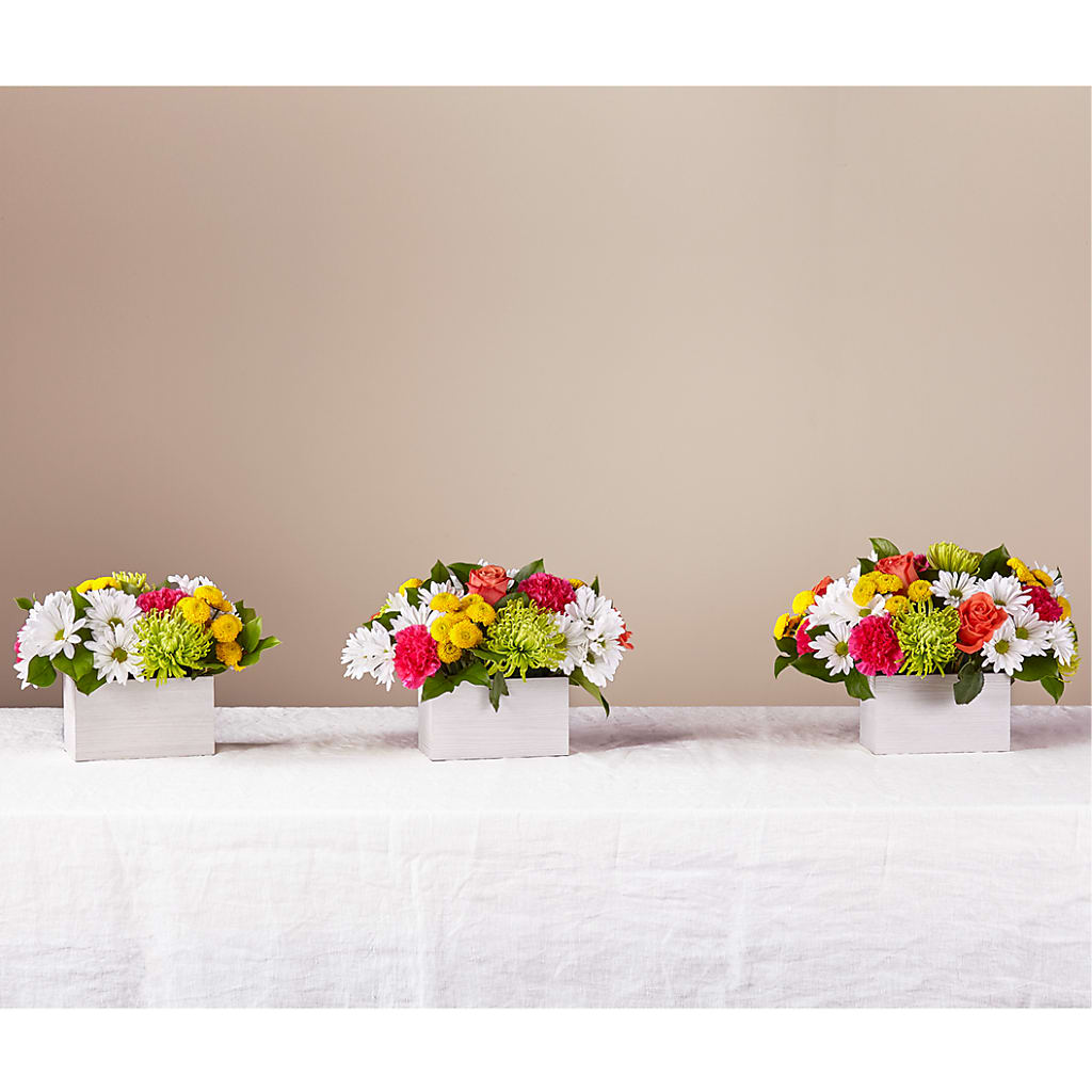 Sorbet Bouquet – F & S FLOWERS DESIGN LLC, Margate FL