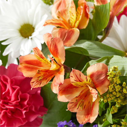 Oopsie Daisy Box Bouquet – F & S FLOWERS DESIGN LLC, Margate FL