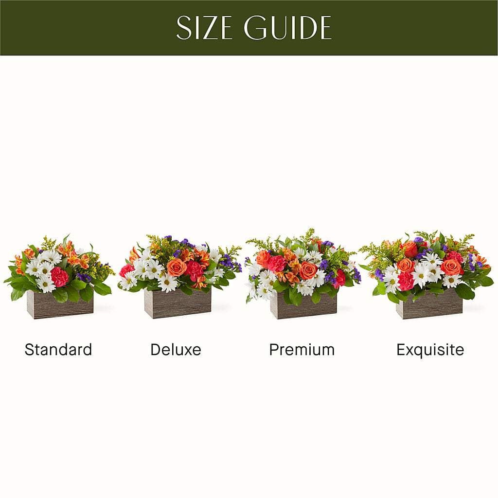 Oopsie Daisy Box Bouquet – F & S FLOWERS DESIGN LLC, Margate FL