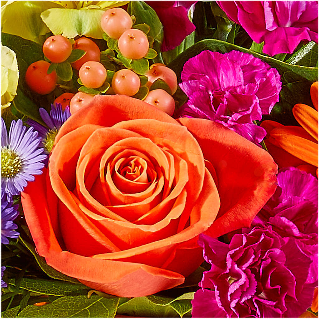 Tricks & Treats Pumpkin – F & S FLOWERS DESIGN LLC, Margate FL