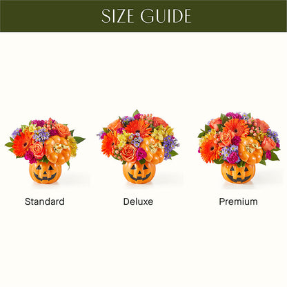 Tricks & Treats Pumpkin – F & S FLOWERS DESIGN LLC, Margate FL