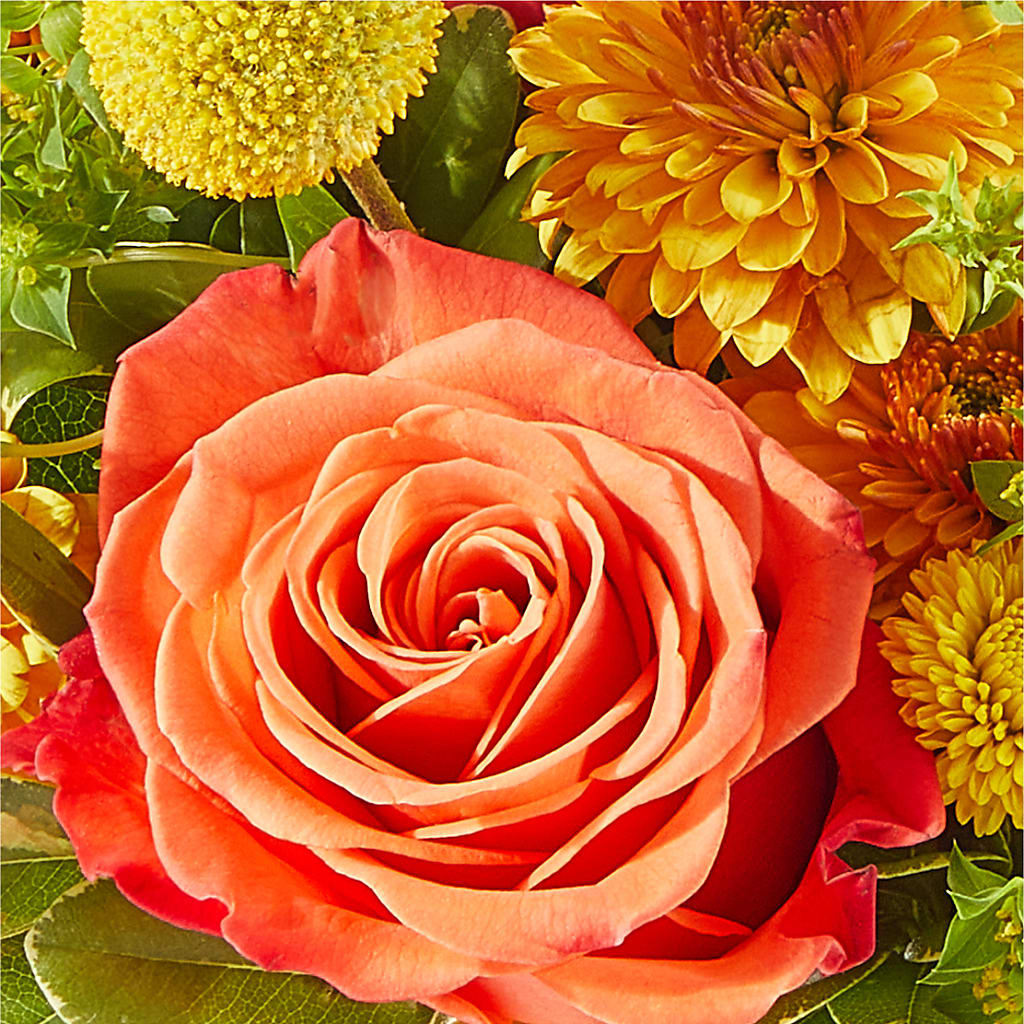Gourdgeous Pumpkin – F & S FLOWERS DESIGN LLC, Margate FL
