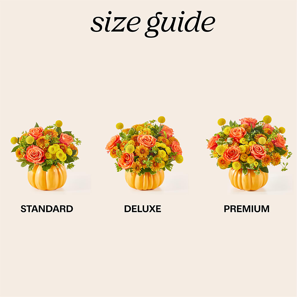 Gourdgeous Pumpkin – F & S FLOWERS DESIGN LLC, Margate FL