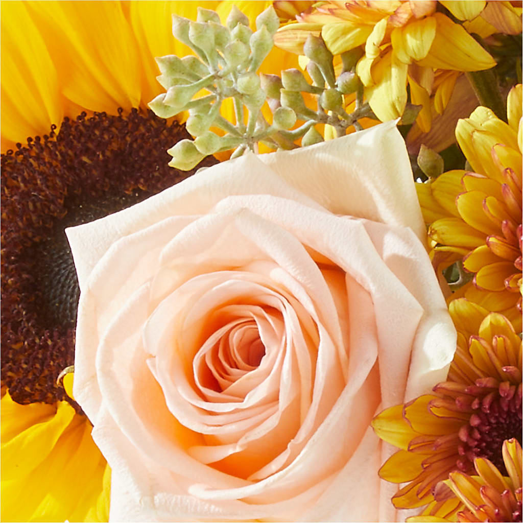 Pumpkin to Talk About Bouquet – F & S FLOWERS DESIGN LLC, Margate FL