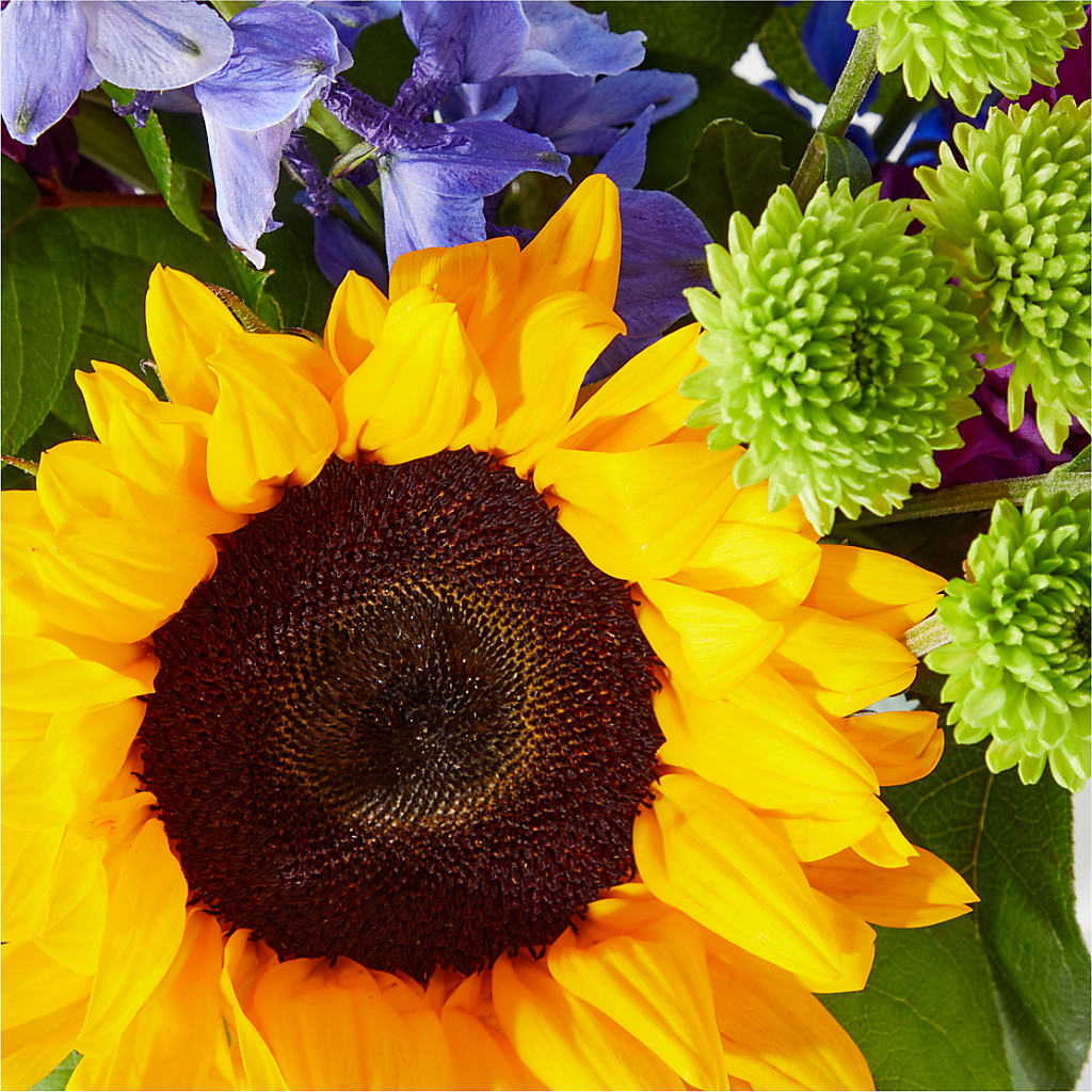 Catching Rays Bouquet – F & S FLOWERS DESIGN LLC, Margate FL