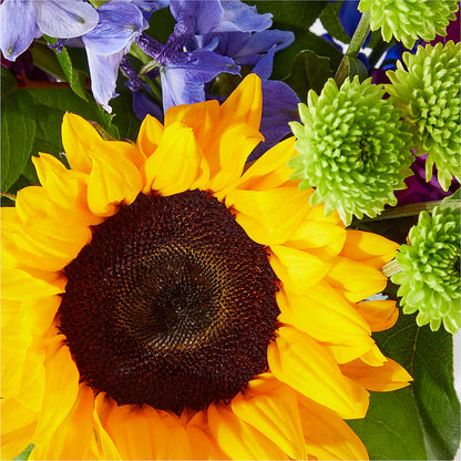 Catching Rays Bouquet – F & S FLOWERS DESIGN LLC, Margate FL