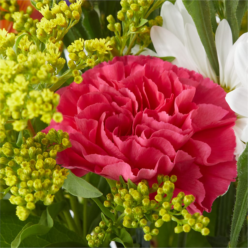Oopsie Daisy Bouquet – F & S FLOWERS DESIGN LLC, Margate FL