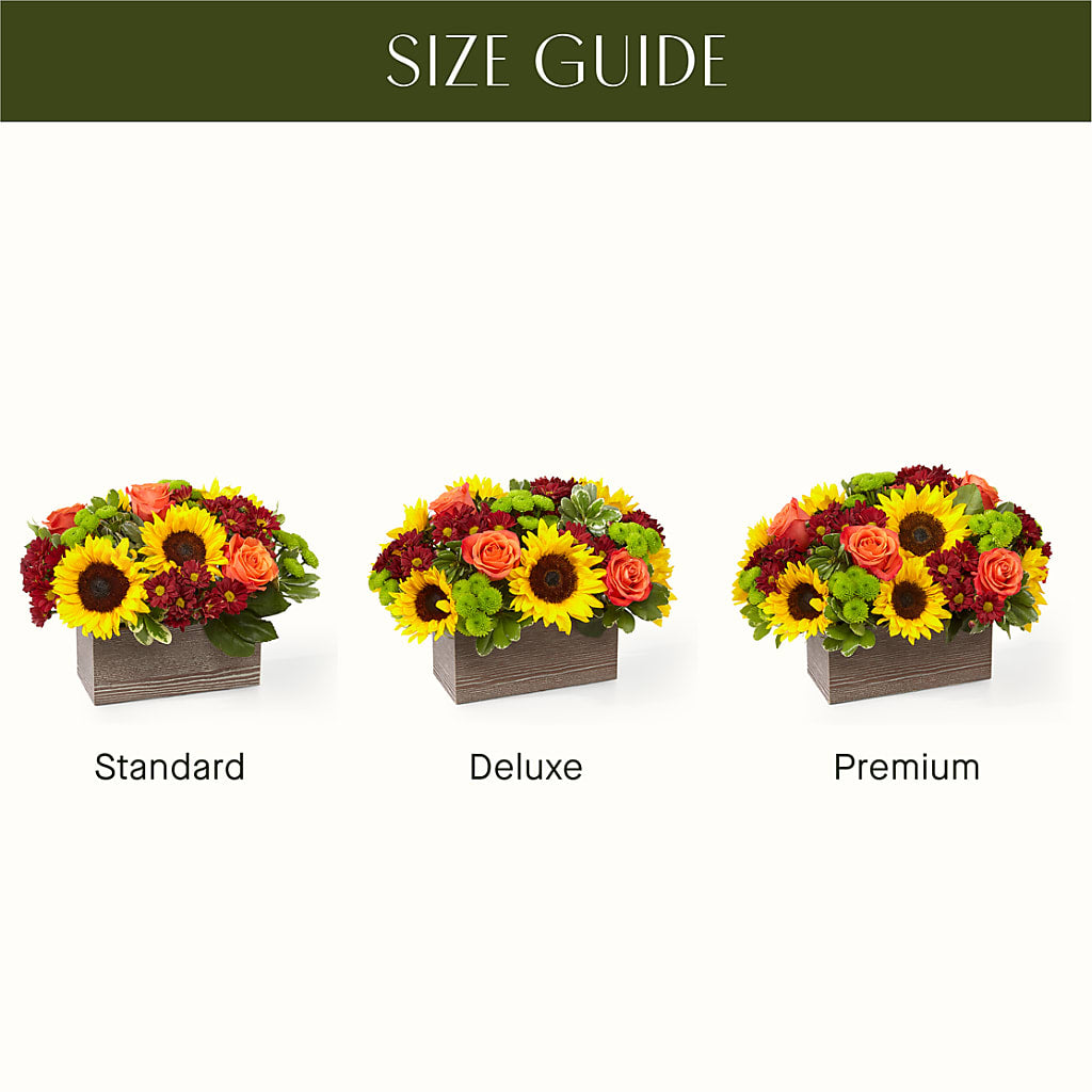 Happy Harvest Garden – F & S FLOWERS DESIGN LLC, Margate FL