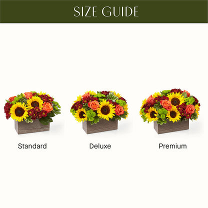 Happy Harvest Garden – F & S FLOWERS DESIGN LLC, Margate FL