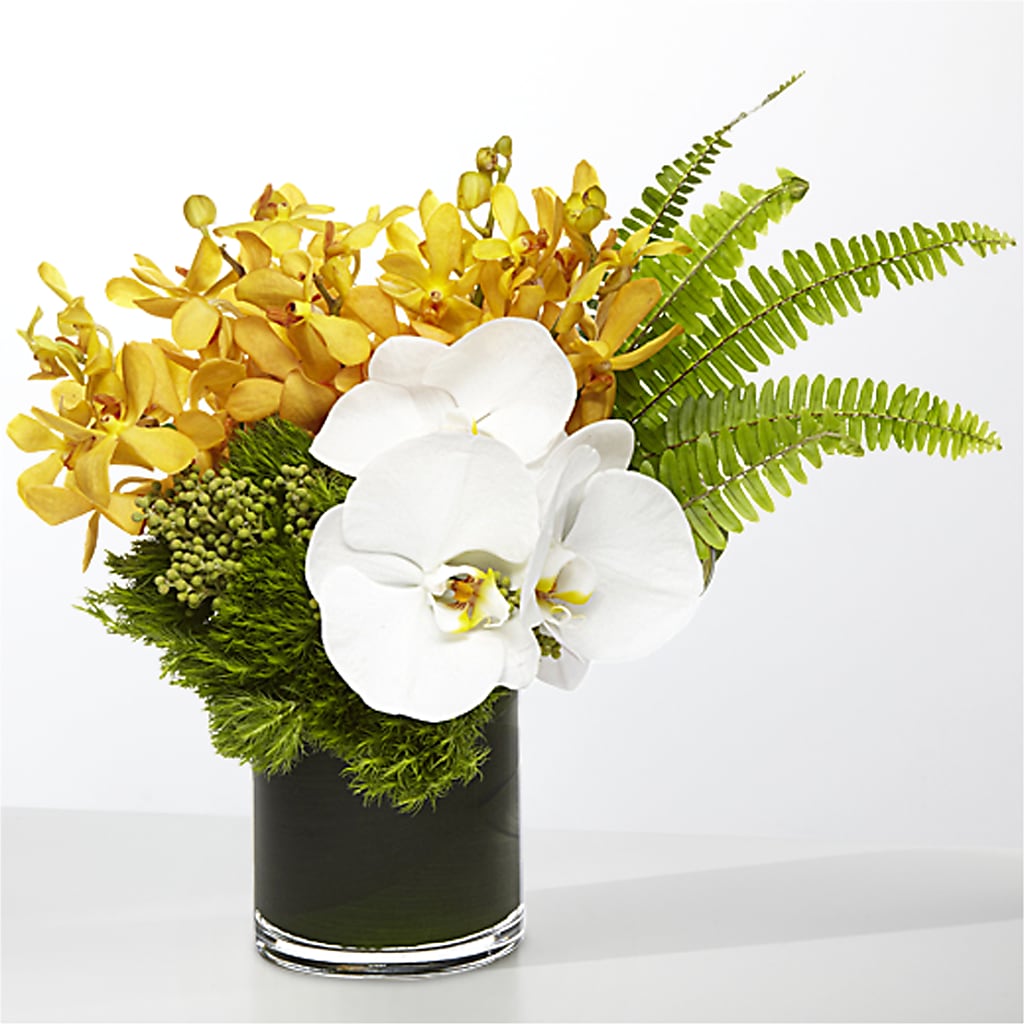The Tropics – F & S FLOWERS DESIGN LLC, Margate FL