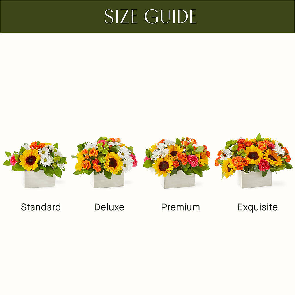 Sun-drenched Blooms Box Bouquet – F & S FLOWERS DESIGN LLC, Margate FL