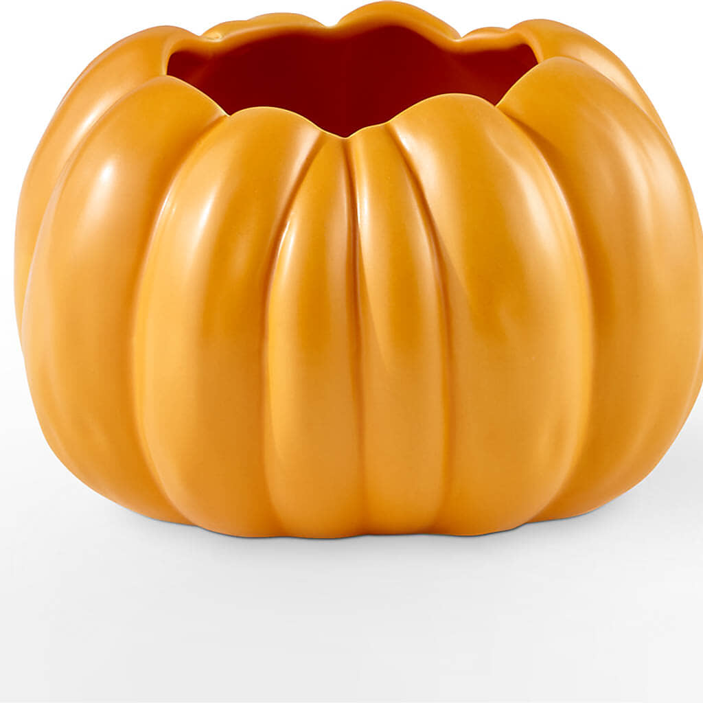 Pick of the Patch Pumpkin Bouquet – F & S FLOWERS DESIGN LLC, Margate FL