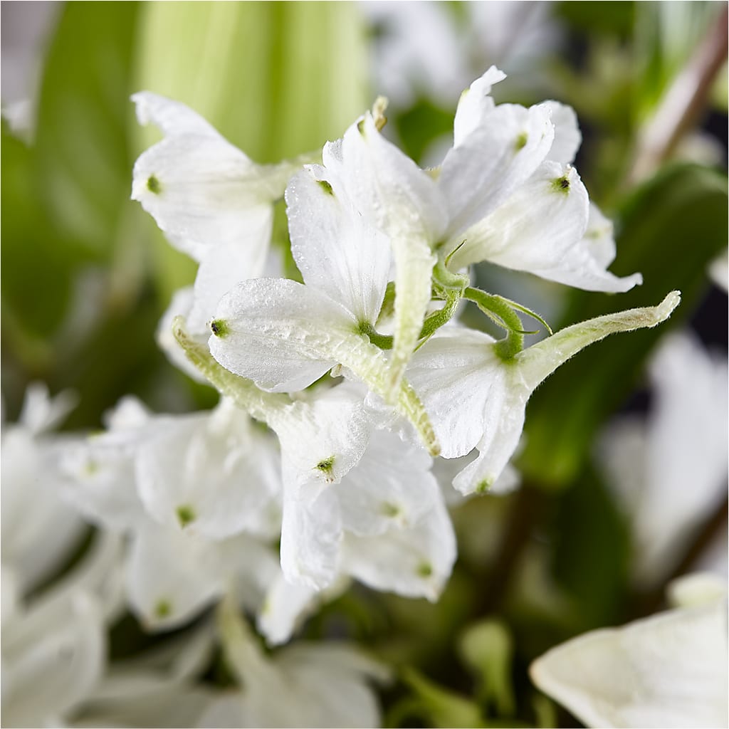 Classic Ivory – A Florist Original – F & S FLOWERS DESIGN LLC, Margate FL