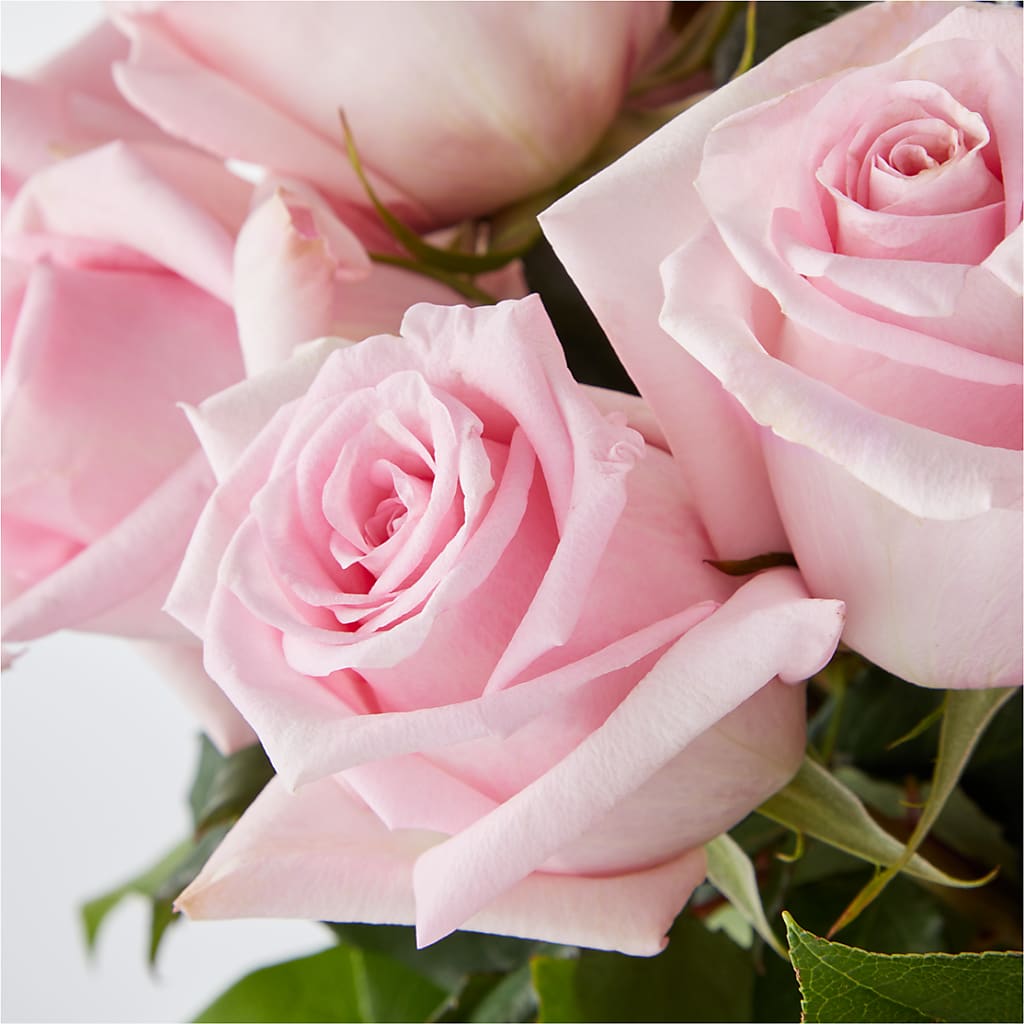 Picture Perfect Pink Rose Bouquet – F & S FLOWERS DESIGN LLC, Margate FL