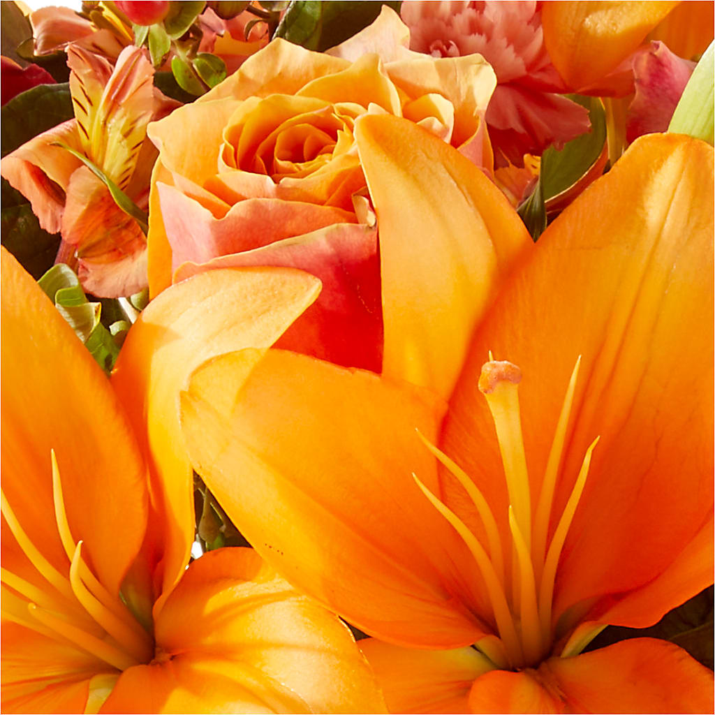Afternoon Light Bouquet – F & S FLOWERS DESIGN LLC, Margate FL