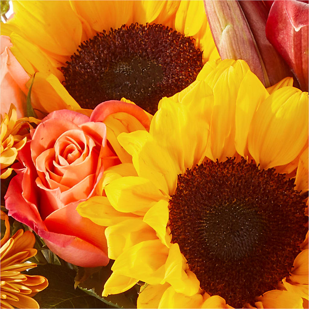 Acorn Lane Bouquet – F & S FLOWERS DESIGN LLC, Margate FL