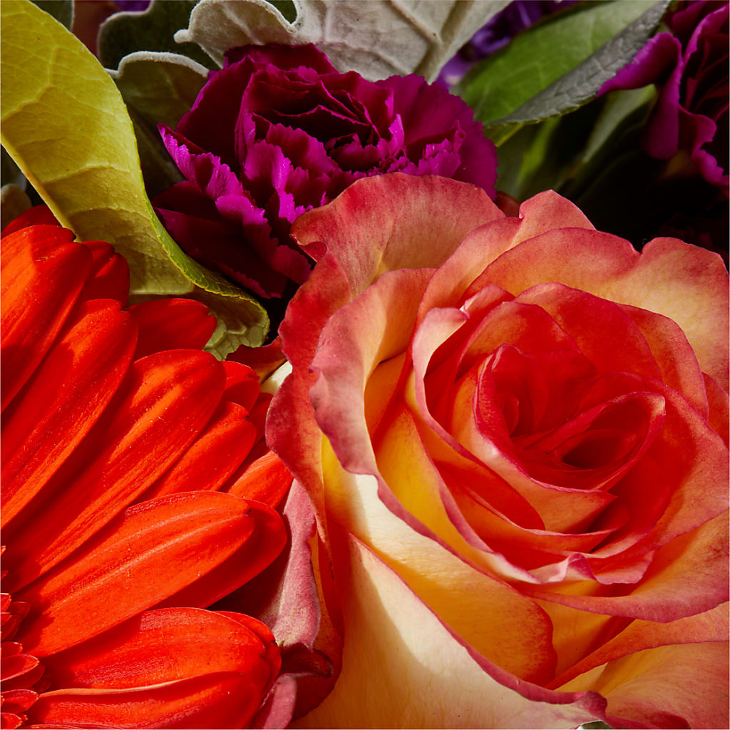 Sangria Bouquet – F & S FLOWERS DESIGN LLC, Margate FL