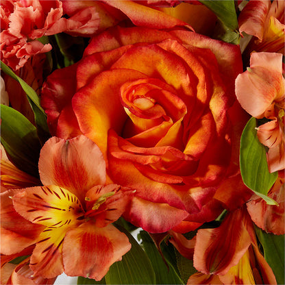 Apricot Glow Bouquet – F & S FLOWERS DESIGN LLC, Margate FL