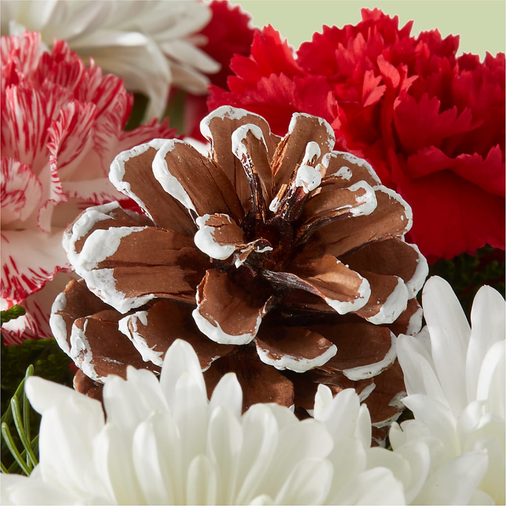 Candy Cane Lane Bouquet – F & S FLOWERS DESIGN LLC, Margate FL