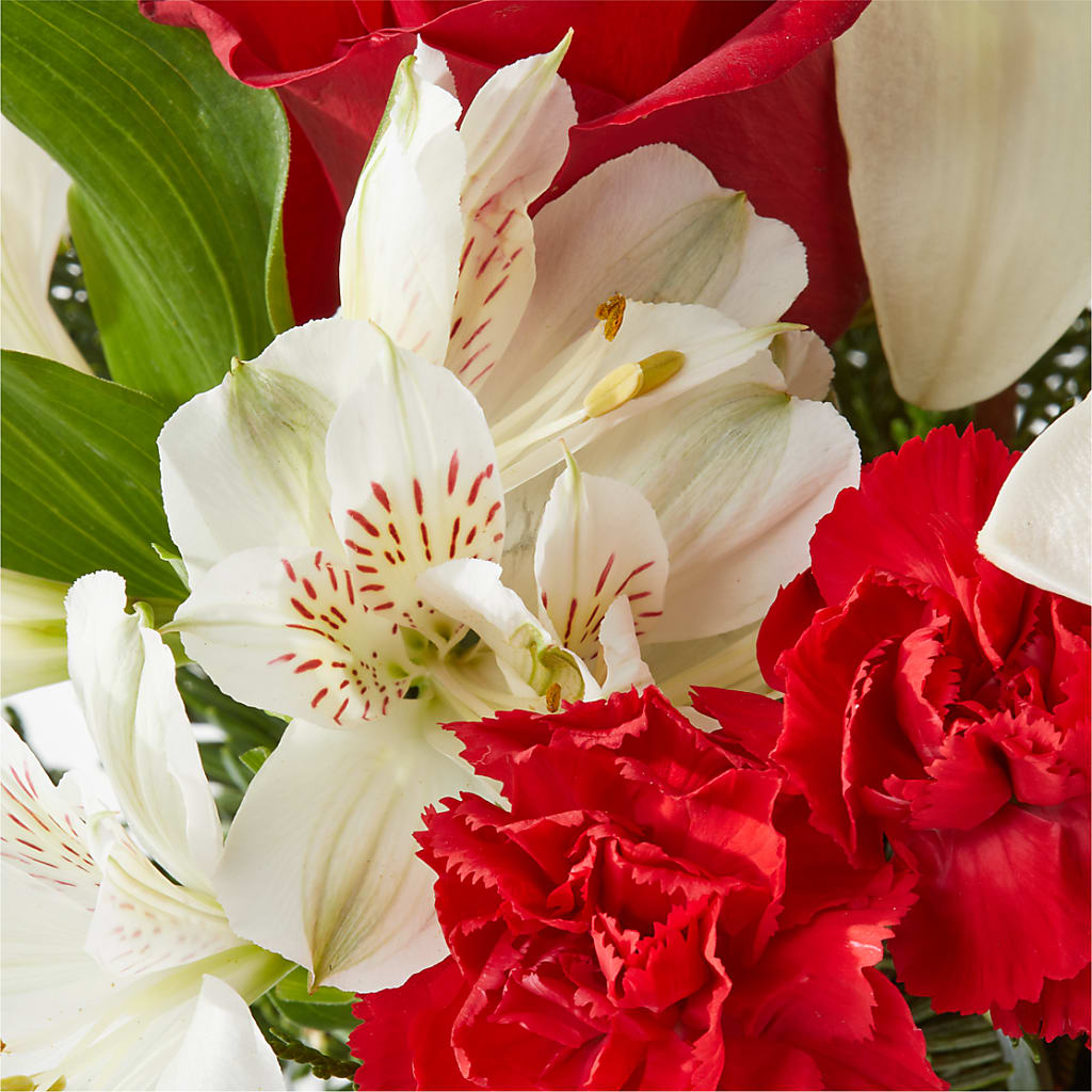 Holiday Season Bouquet – F & S FLOWERS DESIGN LLC, Margate FL