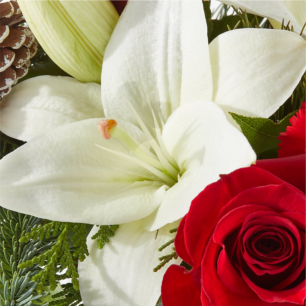 Oh So Jolly Bouquet – F & S FLOWERS DESIGN LLC, Margate FL