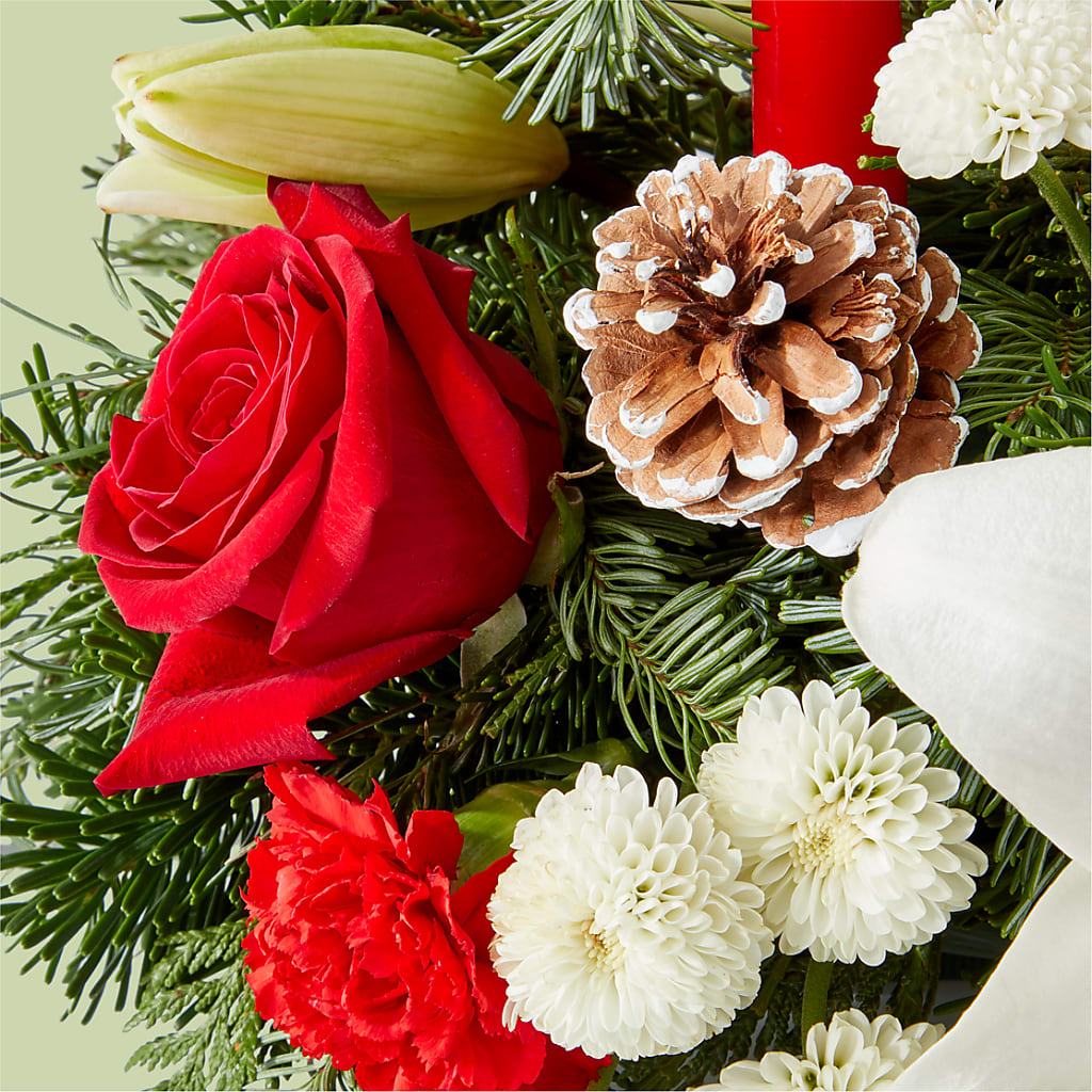 Seasonal Festivities Centerpiece – F & S FLOWERS DESIGN LLC, Margate FL