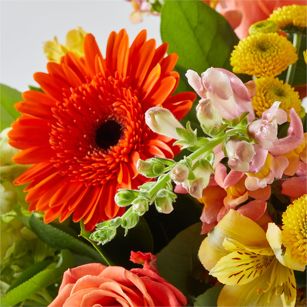 Autumn Sunshine Bouquet – F & S FLOWERS DESIGN LLC, Margate FL