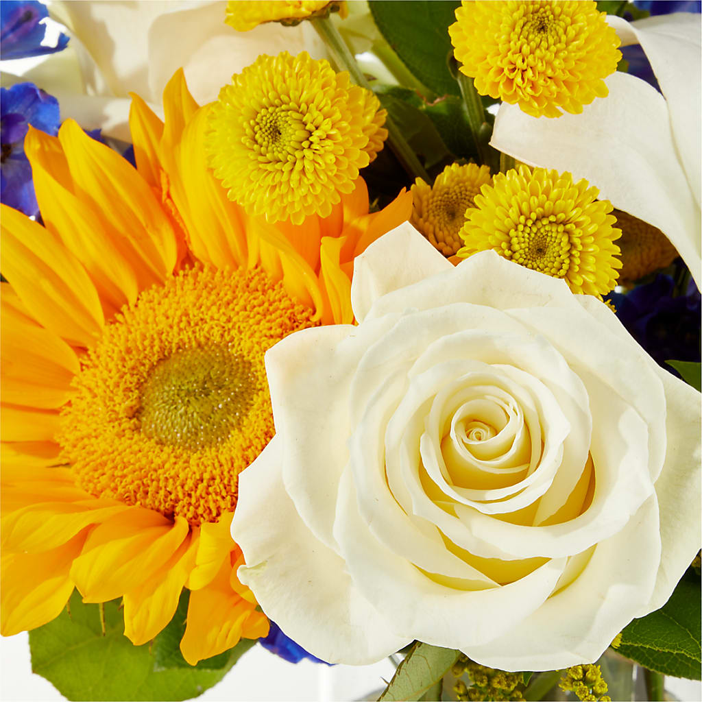 Stargazing Bouquet – F & S FLOWERS DESIGN LLC, Margate FL