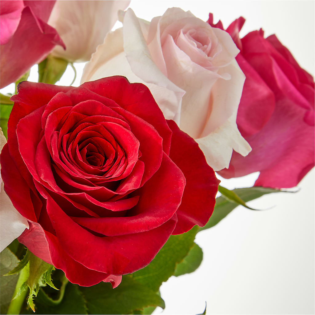 Charming Rose Bouquet – F & S FLOWERS DESIGN LLC, Margate FL
