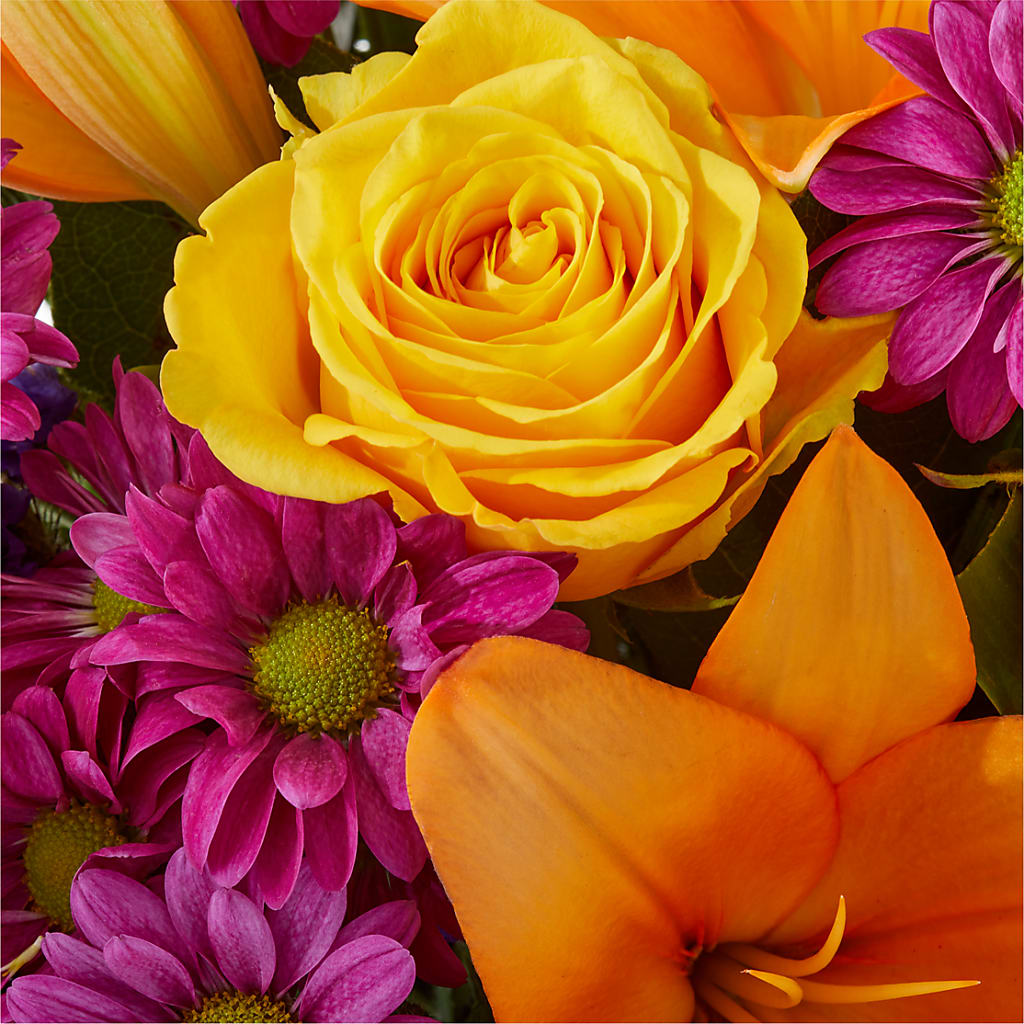 Colorful Visions Bouquet – F & S FLOWERS DESIGN LLC, Margate FL