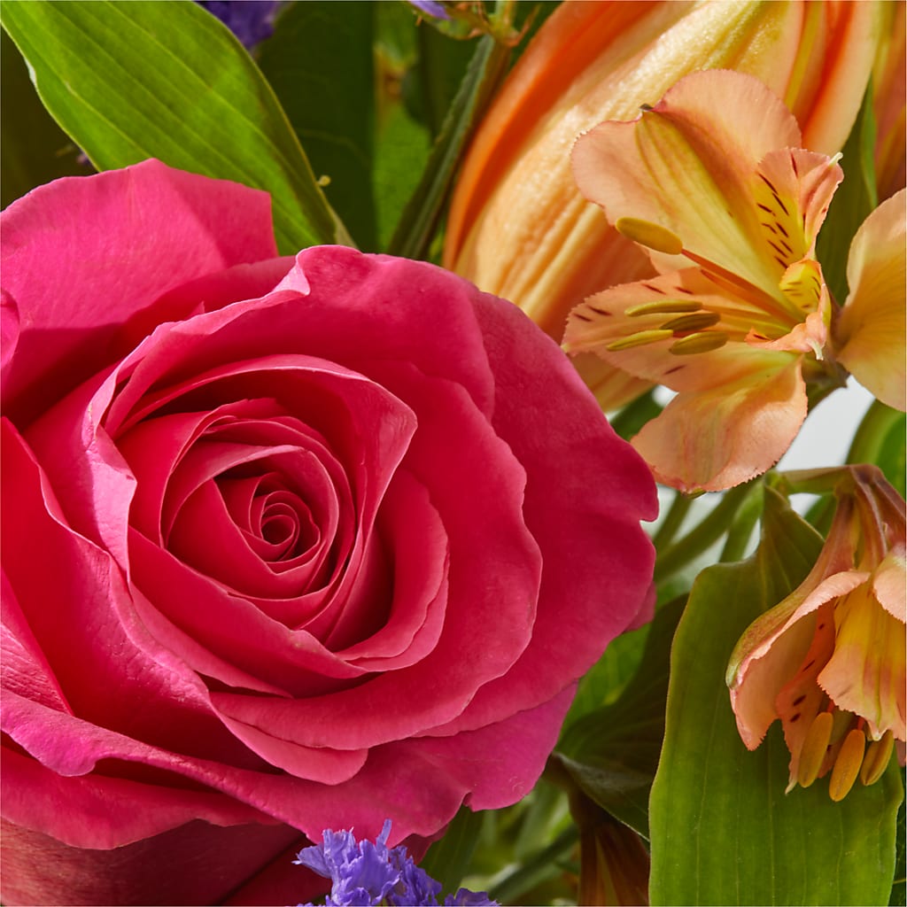 Joyful Bouquet – F & S FLOWERS DESIGN LLC, Margate FL